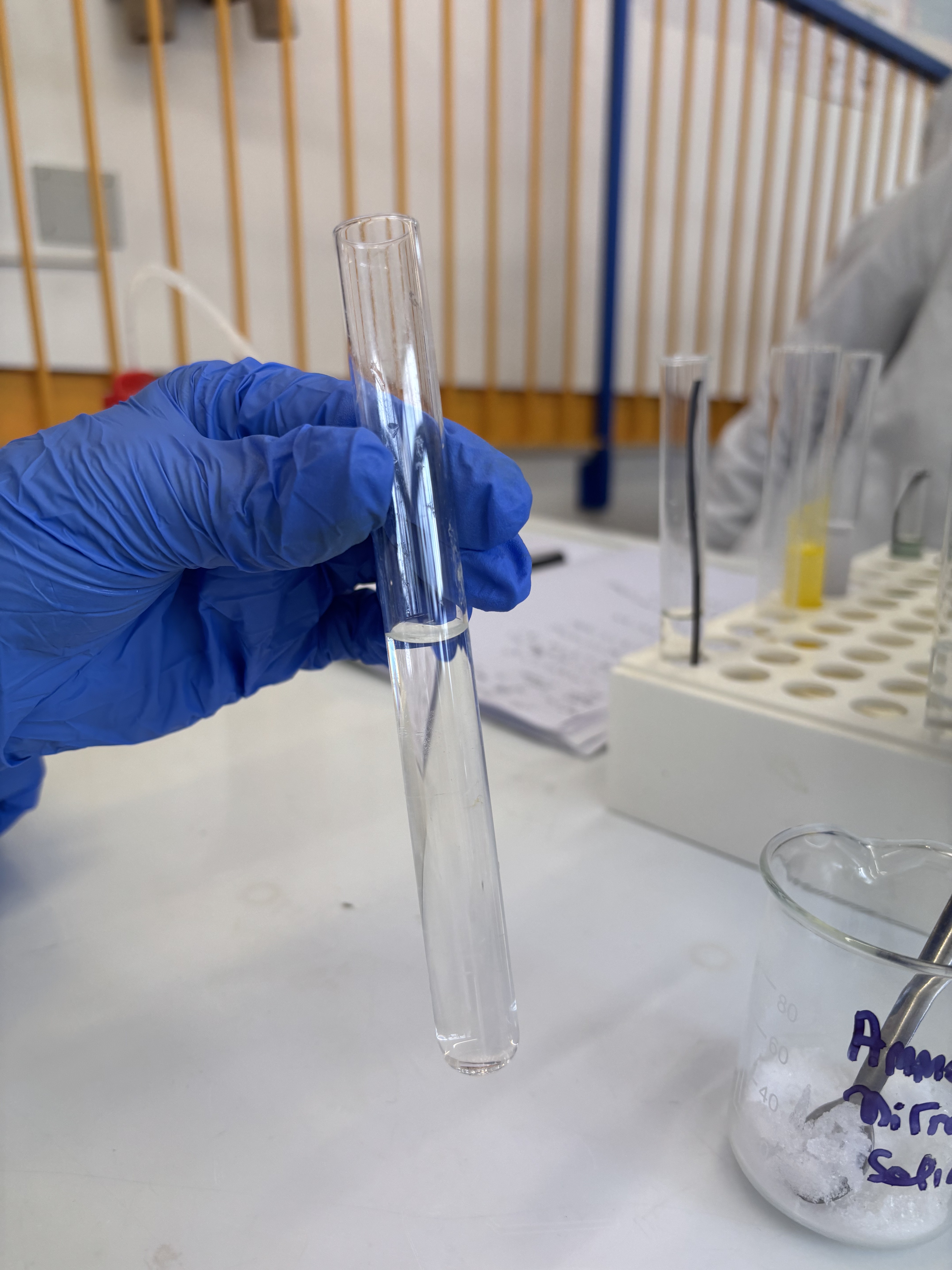 Provette con acqua pronte per il confronto